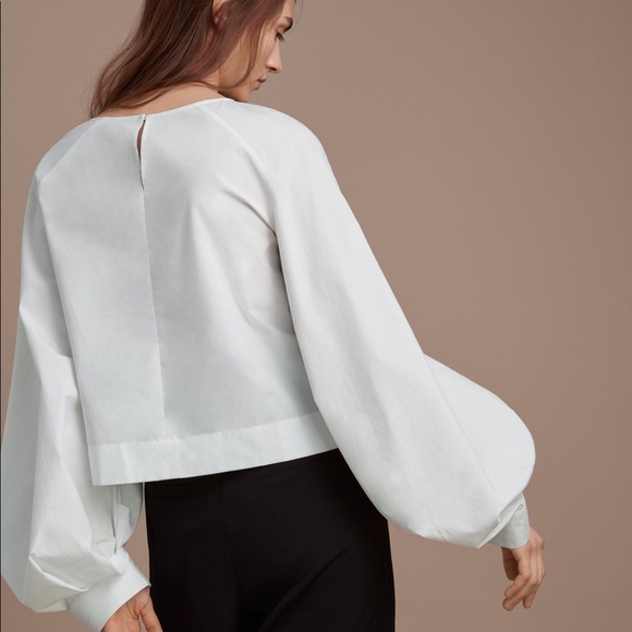 Aritzia Tops - Aritzia Babaton Nikki Blouse